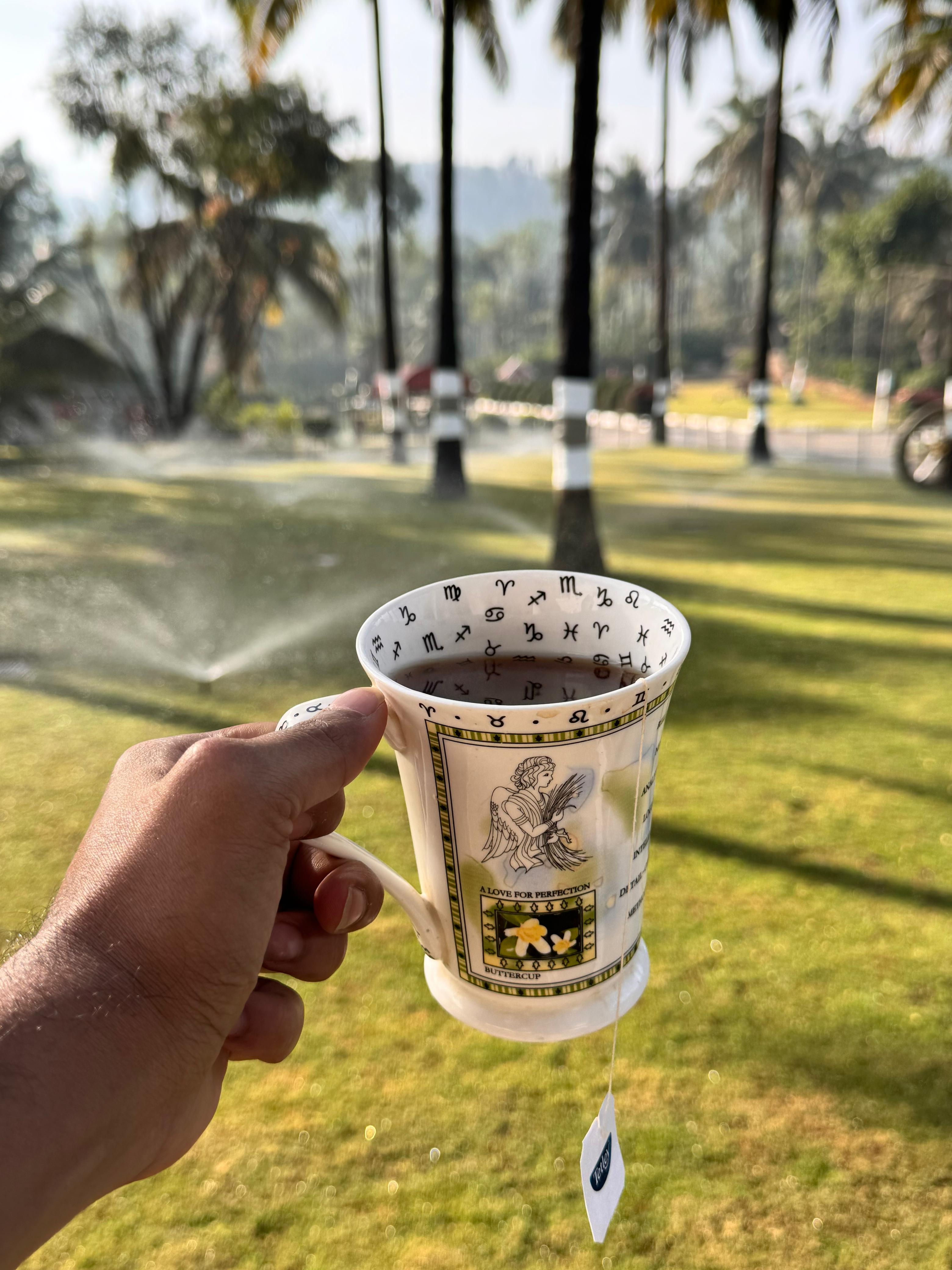 Shade-grown coffee