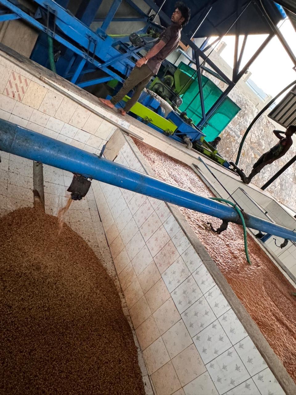 Fermentation Vats