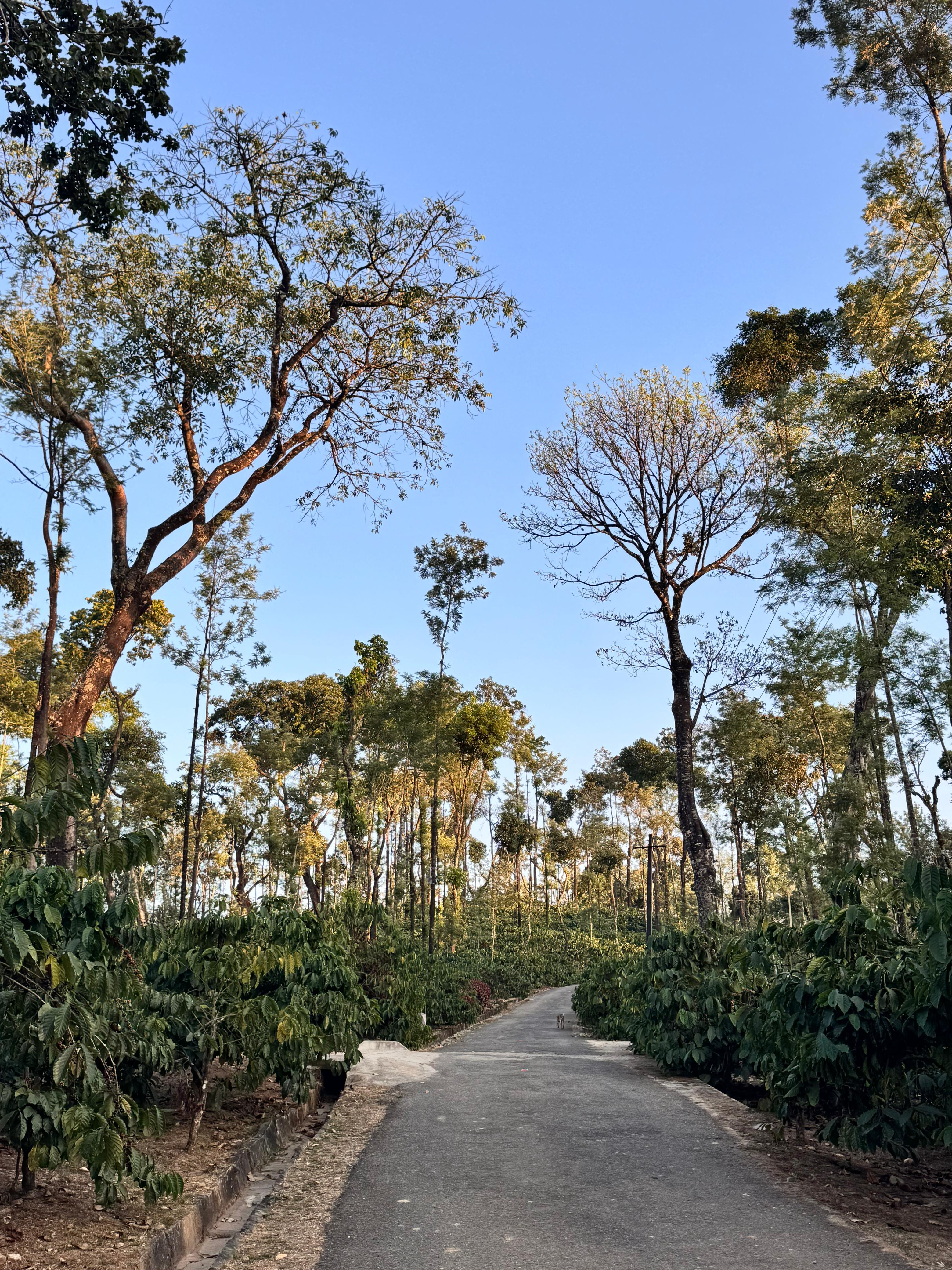 Estate waterway