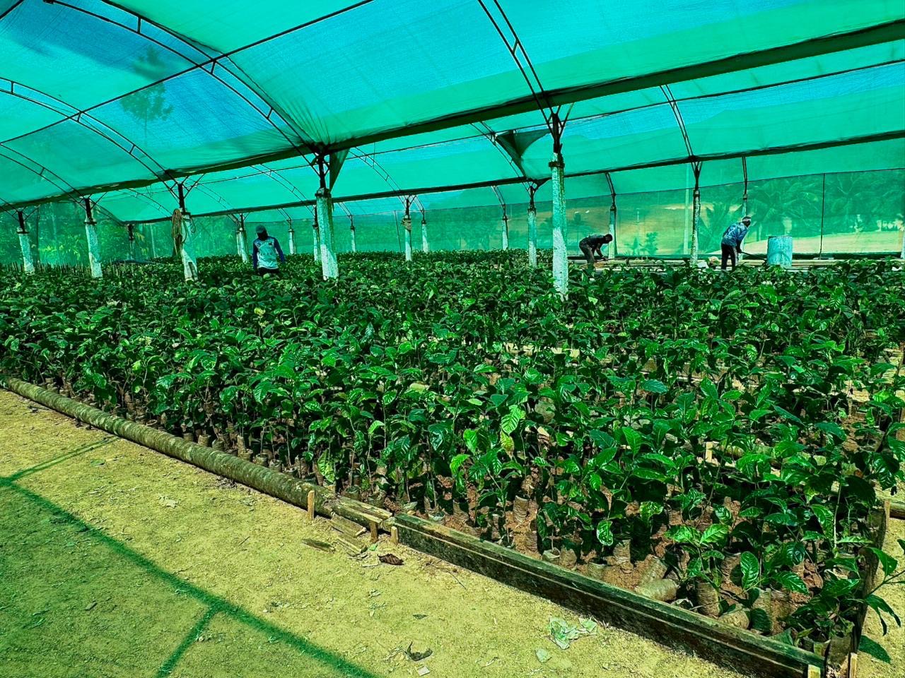 Nursery